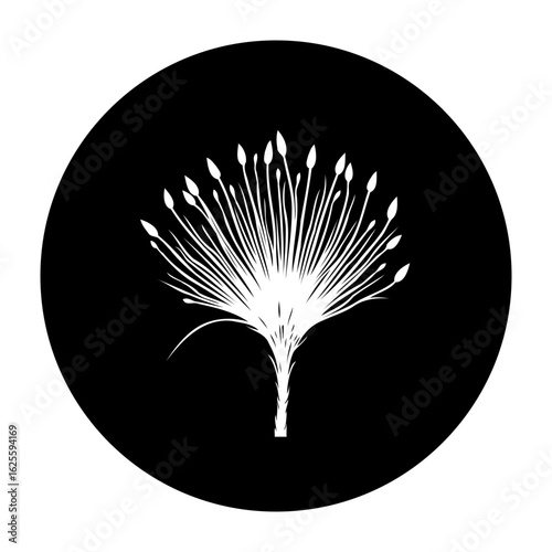 Minimalistic botanical illustration featuring a delicate white plant silhouette against a stark black circular backdrop adding aesthetic value