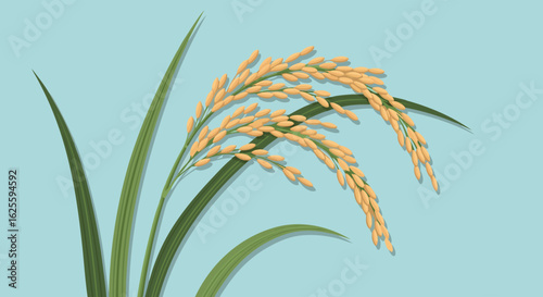 Stylized rice paddy vector illustration featuring ripe grain and foliage on a calming blue backdrop bringing natural charm and simplicity