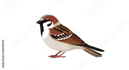 Stylized sparrow illustration showcasing intricate feather details in warm earthy tones, captured in a vector graphic design on a white background