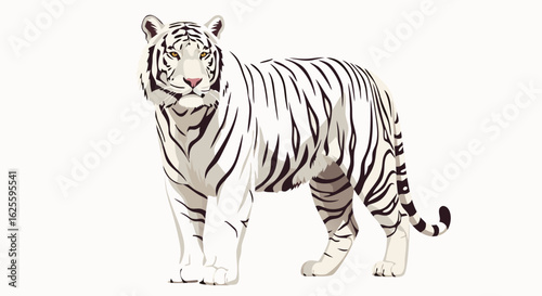 Vector illustration of a white bengal tiger majestic creature with black stripes standing in a white background showcasing its unique beauty and