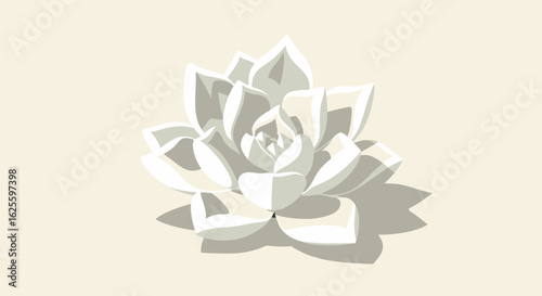 Elegant White Succulent Illustration with Soft Shadows on Cream Background for Design Projects
