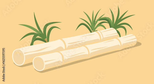 Sugarcane Stalks with Green Leaves: A Tropical Agriculture Still Life Depiction