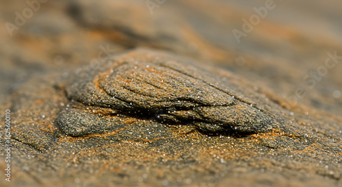 Abstract macro view of a unique geological concretion in sandstone, revealing intricate layers and earthy textures.