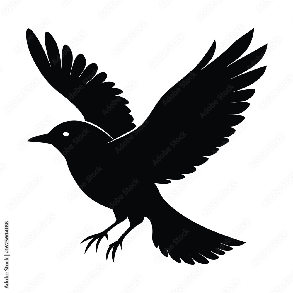 Obraz premium Solid color Veery flying animal vector design