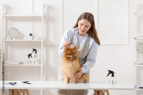 Female groomer brushing cut...