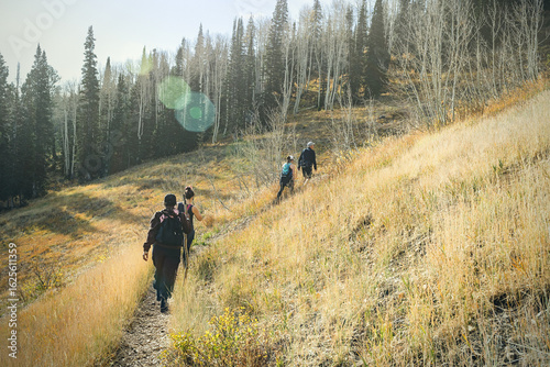 Quadro su tela Wandering Trails in Park City, Utah.