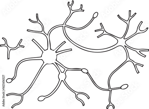 Neural Pathways and Synapse – Minimal Line Art Vector Illustration