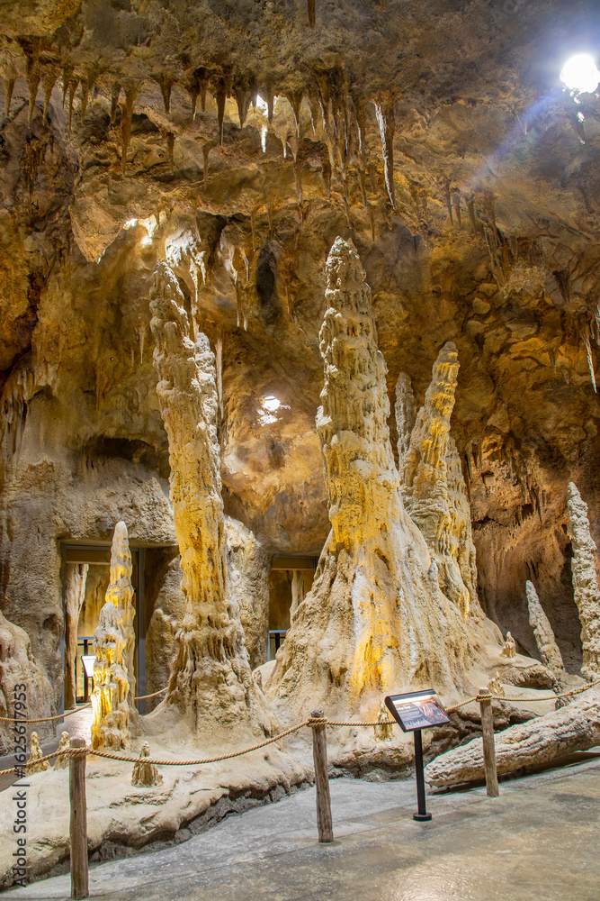 Obraz premium the view of Cavern of Rainforest Wild Asia, the 5th zoo in Singapore, Asia’s first wildlife adventure park. reflect the aesthetic and natural grandeur of Batu Caves Malaysia.