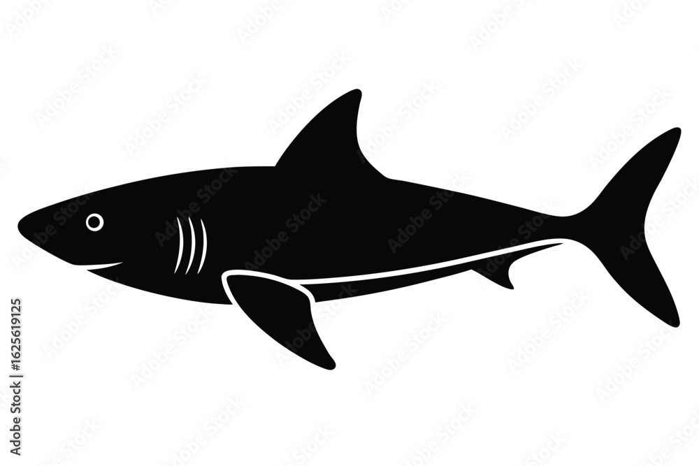 Fototapeta premium illustrate a flat style vector infographic of sha (1).eps