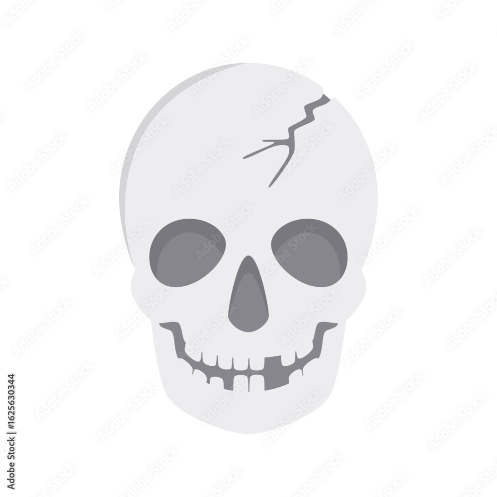 Fototapeta premium Vector illustration of a skull isolated on background. 