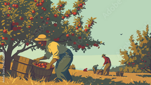 Autumn Apple Harvest in a Rural Orchard: Farmers Collect Ripe Fruit from Trees into Wooden Baskets, Depicting Traditional Farming and Agricultural ...