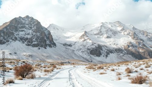 Wallpaper Mural Snow-capped mountains with cloudy sky and snowy path Torontodigital.ca