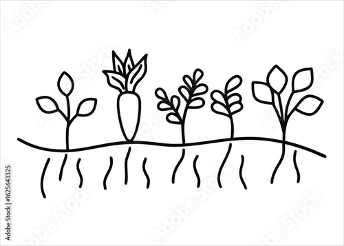 Artistic single line drawing showcasing a variety of fresh garden vegetables and leafy plants presented in a clean organic style