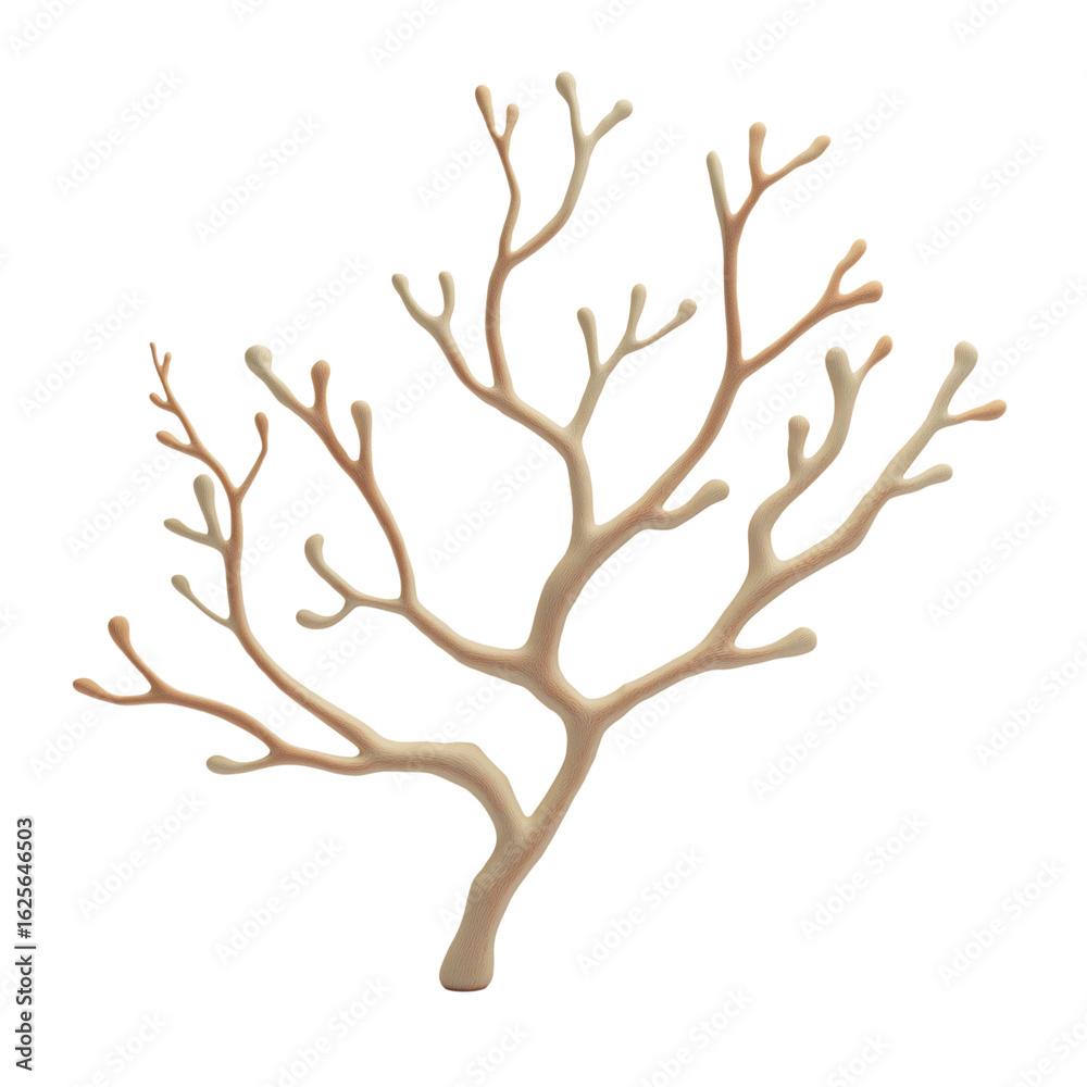 Fototapeta premium Delicate branching coral skeleton isolated on transparent background
