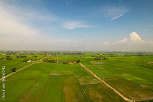 Fotografía Beautiful paddy field from the hill view at Alor Setar, Malaysia