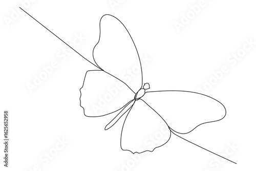 Stylish continuous line butterfly drawing, showcasing elegance and motion in minimal lines for modern design inspiration or logos