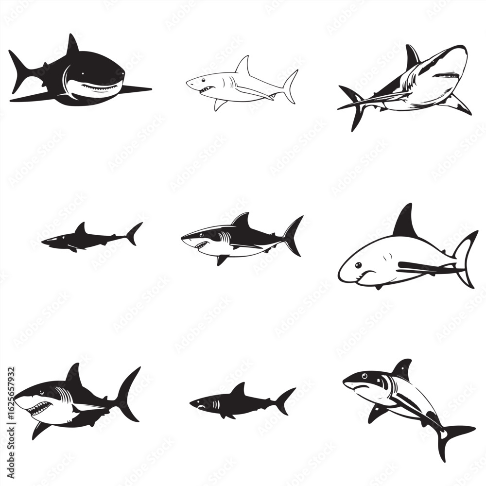 Fototapeta premium set of sharks vector illustration