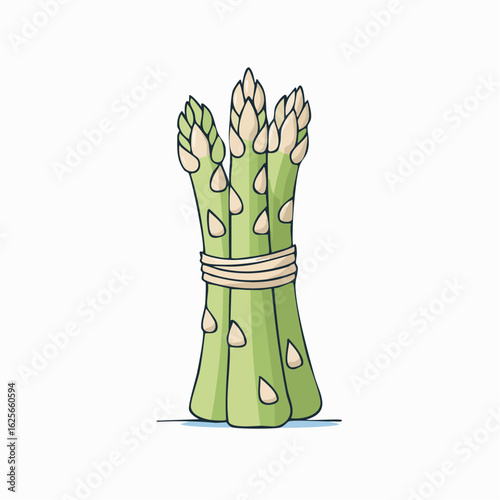 Illustrative depiction of a bundle of fresh asparagus stalks tied together, ready for cooking
