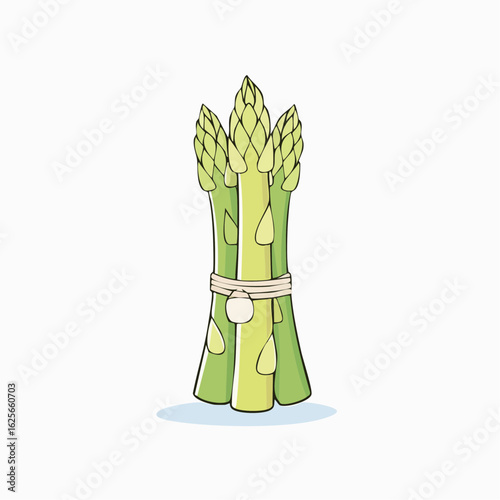 Illustration of Fresh Asparagus Spears Tied Together, Isolated on White Background