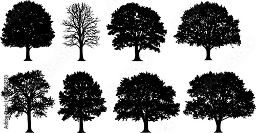 Oak tree set silhouette vector on white background
