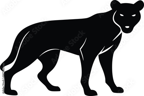 A predatory black panther silhouette with intense white eyes. Vector graphic of a wild big cat.