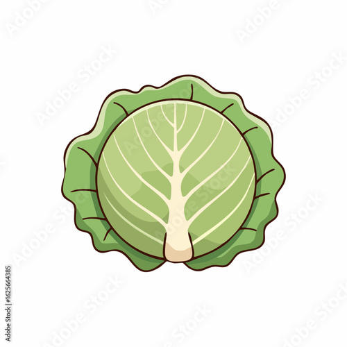 A Vibrant and Detailed Illustration of Fresh Green Cabbage with Intricate Leaf Texture
