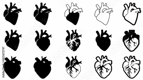 Collection of anatomical heart illustrations in varying styles and levels of detail displayed in rows silhouette