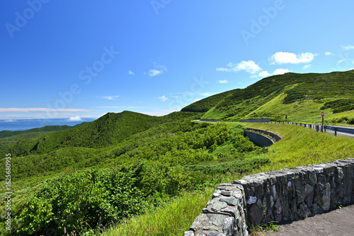 Fotografía 晴れ渡る知床峠の峠道