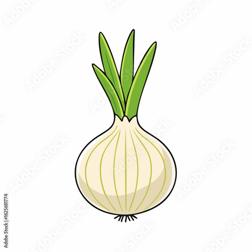 Illustration of a fresh, vibrant white onion with green stalks against white background