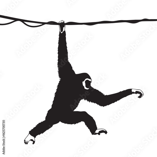 Gibbon Silhouette Swinging on Vine Primate in Action Wildlife Illustration Animal Clip Art Mammal Hanging From Branch