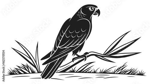A black and white vector image of a falcon perched on a branch with grass at the bottom edge