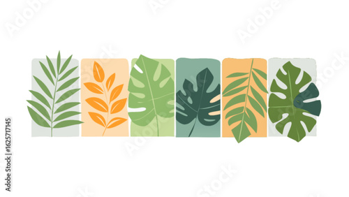 Tropical leaves botanical illustration vector art print monstera palm frond foliage design element set nature decor