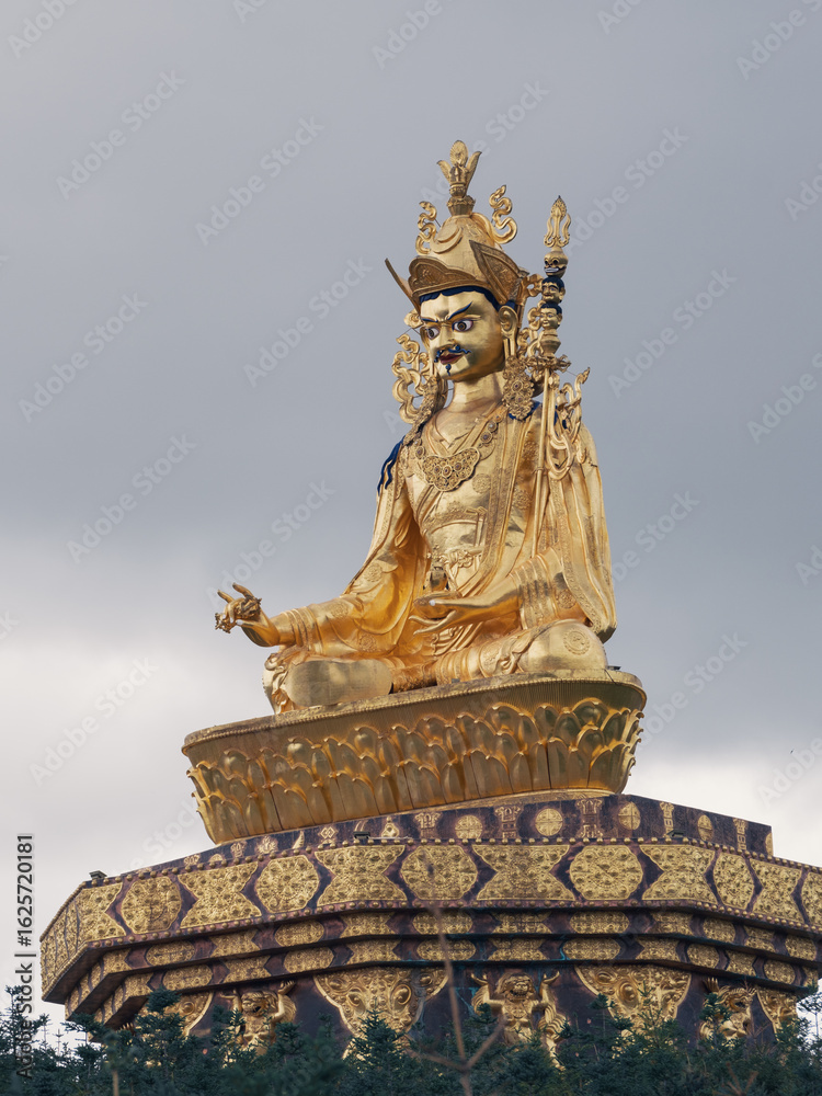 Obraz premium Buddha statue found at the heart of a grassland