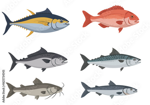 Collection of Six Diverse Fish Species Illustrations.