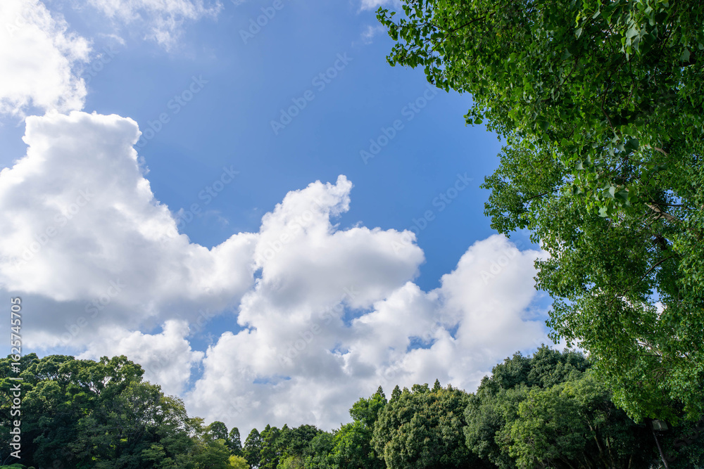 Obraz premium 夏の青空と白い雲