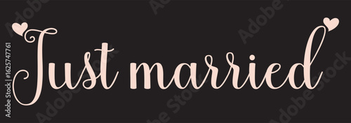 Just Married hand lettering phrase. Vector brush calligraphy text design isolated on white background.