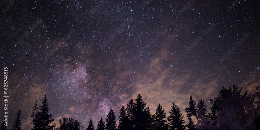 Fototapeta premium night landscape with moon and clouds
