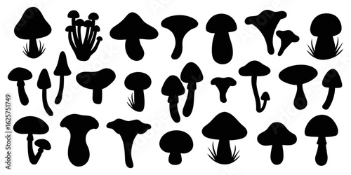 Silhouette forest mushrooms big set. Autumn fungi of various shapes and sizes isolated on white background. Vector icon