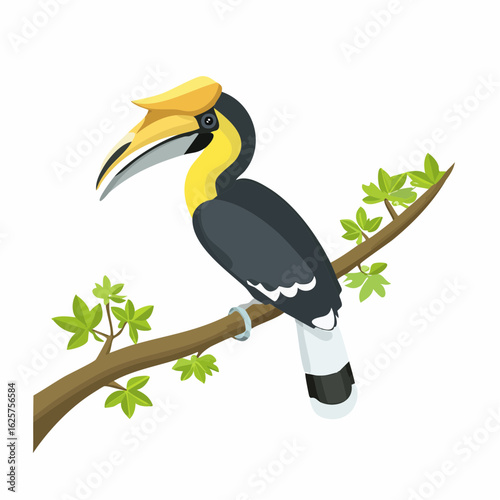 Vibrant hornbill perched on branch tropical forest colorful nature wildlife concept