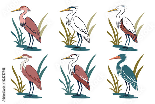 set of watercolor Heron vector illustration isolated on white background