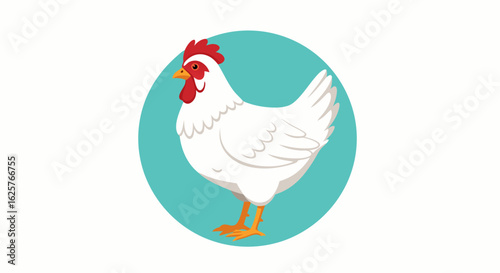 Stylized white hen illustration on teal circle background providing an eye-catching poultry presentation