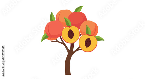 Stylized peach tree with vibrant fruit and leafy accents, a simple illustration for food lovers and summer harvest, isolated on white background