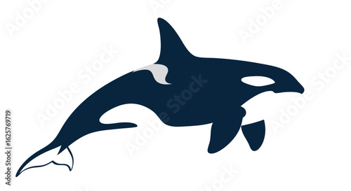 Sleek Orca Silhouette: A Minimalist Aquatic Graphic Embodying Oceanic Gracefulness and Power