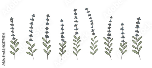 Hand drawn lavender flower set. Rustic vintage cottagecore botanical vector illustration collection for scrapbooking, greeting cards, patterns, decor.