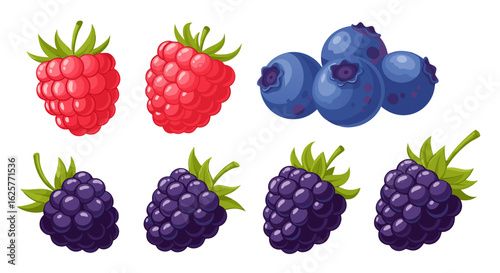 Delightful Array of Cartoon Berries: Raspberries, Blueberries, and Blackberries in Exquisite Detail