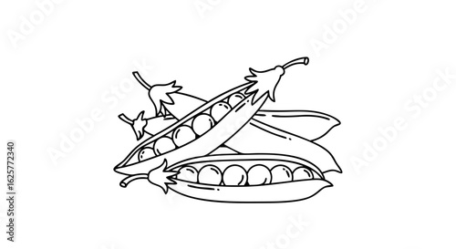 Minimalist Line Art Illustration of Fresh Green Peas in Pods, a Vegetarian Delicacy for Culinary Creations and Nutritional Benefits, with Simple