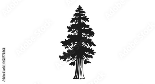 Silhouette of majestic evergreen tree isolated on white background, a timeless symbol of nature and resilience depicted in minimalist vector art style