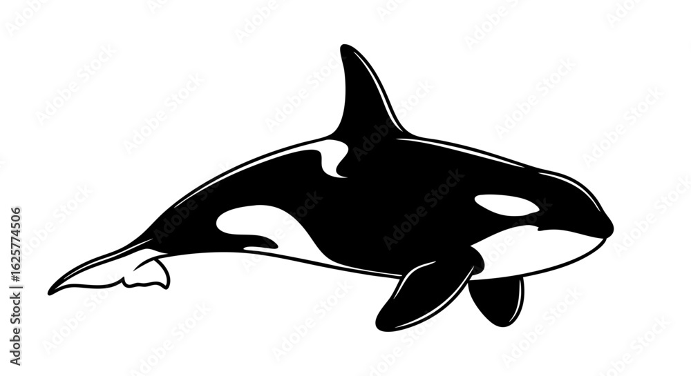 Fototapeta premium Majestic Monochrome Orca: A Striking Illustration of Marine Beauty and Power in Simplistic Form