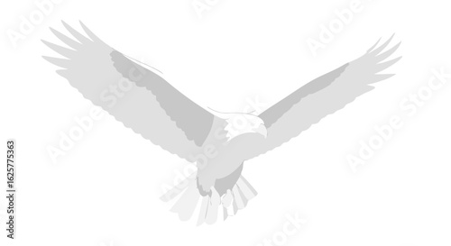 Soaring Majesty: An Eagle Embodiment of Freedom, Flight, and Untamed Wilderness in a Serene White Silhouette against a Blank Backdrop