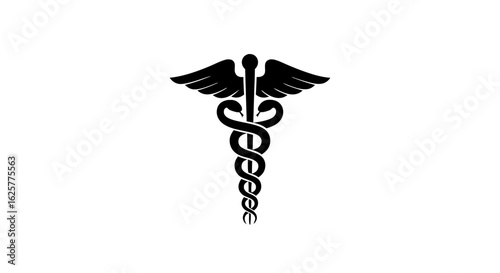 Iconic Representation of Healthcare: A Symbolic Caduceus for Medical Services and Wellness Initiatives